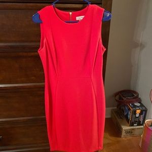 Pink Calvin Klein Dress